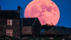 Strawberry moon seen from Flockton, West Yorkshire